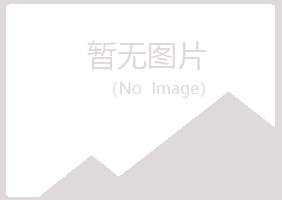 文登听白房地产有限公司